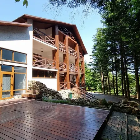Отель Fortetsya 4*